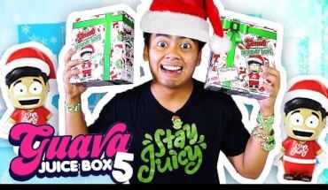 All Guava Juice Boxes - Holiday Edition Unboxing