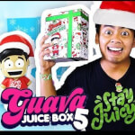 All Guava Juice Boxes - Holiday Edition Unboxing